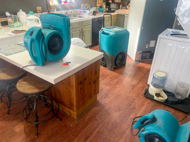 Best Ceiling water damage repair  in Boston Heights, OH