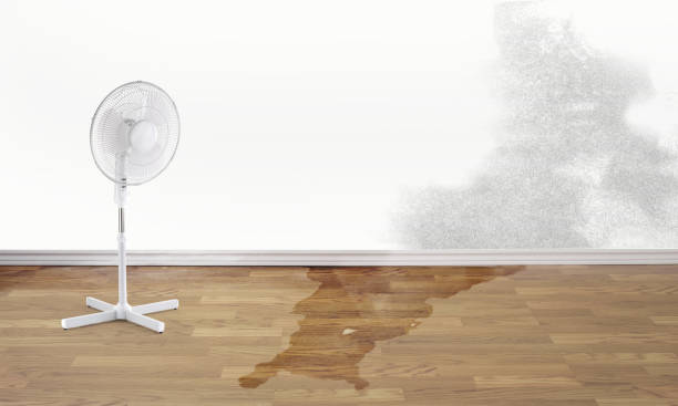Best Water damage contractors near me  in Boston Heights, OH