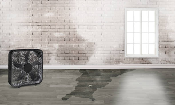 Best Residential water damage restoration  in Boston Heights, OH
