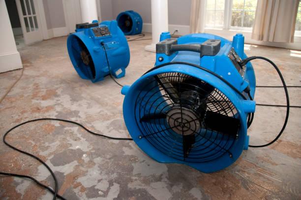 Best Fire Damage Restoration  in Boston Heights, OH