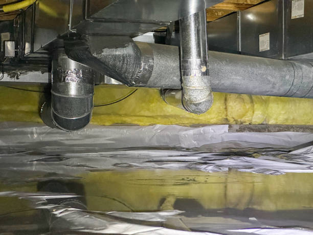 Best Flood damage cleanup  in Boston Heights, OH