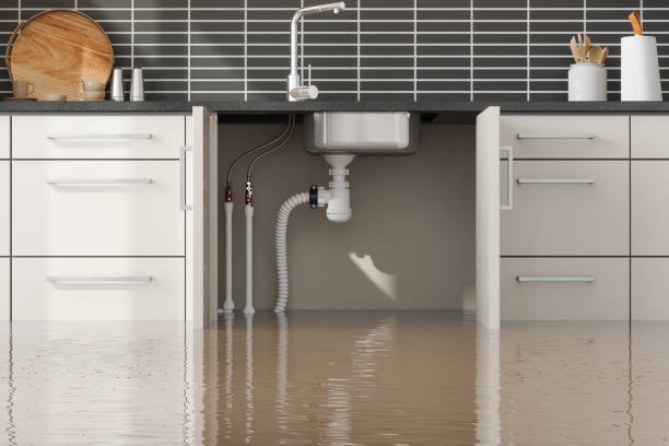 Best Commercial water damage restoration  in Boston Heights, OH